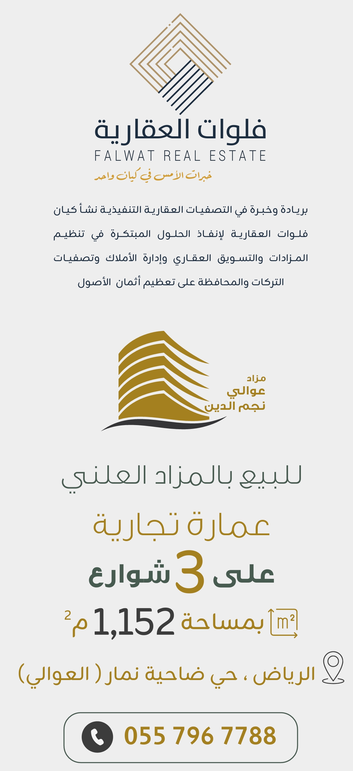 عوالي نجم الدين