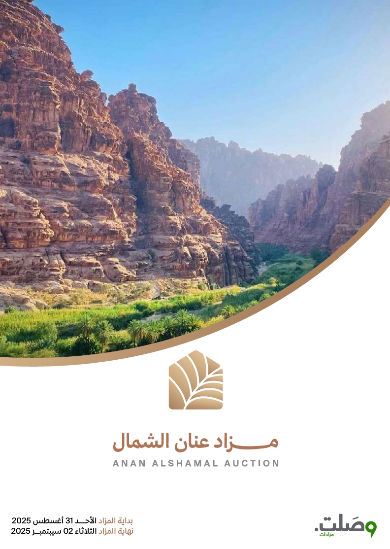 مزاد عنان الشمال